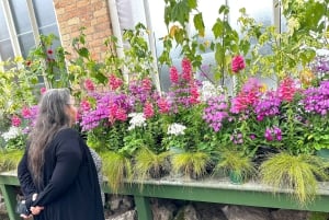 Visite d'une demi-journée à Auckland City Top Spots (visite en petit groupe)