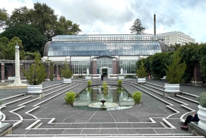 Visite d'une demi-journée à Auckland City Top Spots (visite en petit groupe)