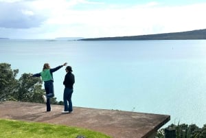 Visite d'une demi-journée à Auckland City Top Spots (visite en petit groupe)