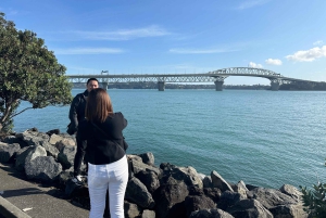 Visite d'une demi-journée à Auckland City Top Spots (visite en petit groupe)