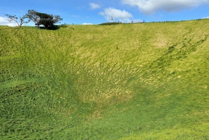 Visite d'une demi-journée à Auckland City Top Spots (visite en petit groupe)