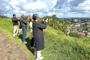 Visite d'une demi-journée à Auckland City Top Spots (visite en petit groupe)