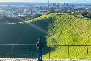 Visite d'une demi-journée à Auckland City Top Spots (visite en petit groupe)