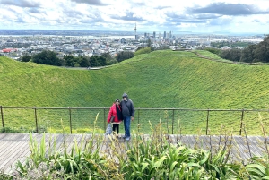 Visite d'une demi-journée à Auckland City Top Spots (visite en petit groupe)