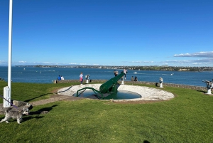 Visite d'une demi-journée à Auckland City Top Spots (visite en petit groupe)