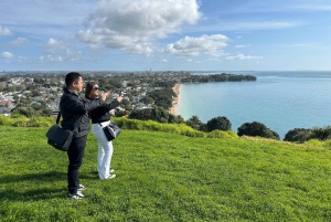 Visite d'une demi-journée à Auckland City Top Spots (visite en petit groupe)