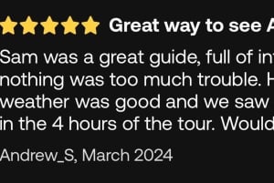 Visite d'une demi-journée à Auckland City Top Spots (visite en petit groupe)