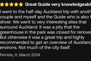 Visite d'une demi-journée à Auckland City Top Spots (visite en petit groupe)