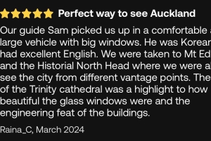 Visite d'une demi-journée à Auckland City Top Spots (visite en petit groupe)