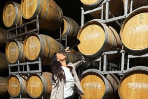 Auckland: excursão pela região vinícola com degustações e almoço gourmet