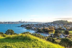 Auckland: Coast to Coast Private Eco Tour