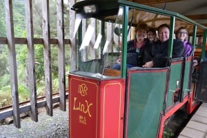 Auckland : Visite privée de la plage, des grottes et de la forêt de Coromandel