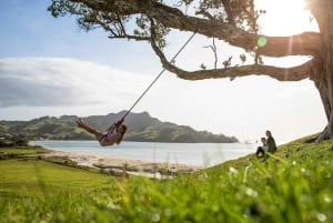 Auckland : Visite privée de la plage, des grottes et de la forêt de Coromandel