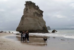 Auckland : Visite privée de la plage, des grottes et de la forêt de Coromandel