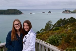 Auckland : Visite privée de la plage, des grottes et de la forêt de Coromandel