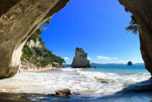 Auckland: Coromandel, Cathedral Cove & Hot Water Beach Tour