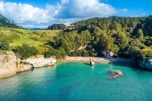 Auckland: Coromandel, Cathedral Cove & Hot Water Beach Tour