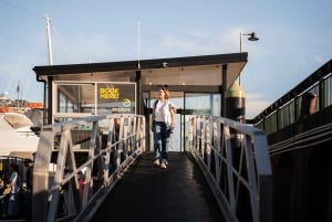 Auckland: Færge og bustransport til Coromandel-halvøen