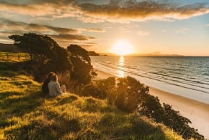 Auckland: Færge og bustransport til Coromandel-halvøen