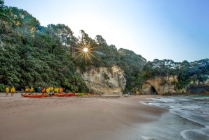 Auckland: Færge og bustransport til Coromandel-halvøen