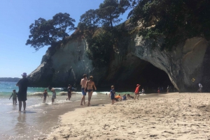 Auckland: Coromandel Peninsula & Hot Water Beach Tour