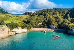 Auckland: Coromandel Peninsula & Hot Water Beach Tour