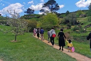Auckland Day Trip: Explore Hobbiton’s Magic & Vintage Cars