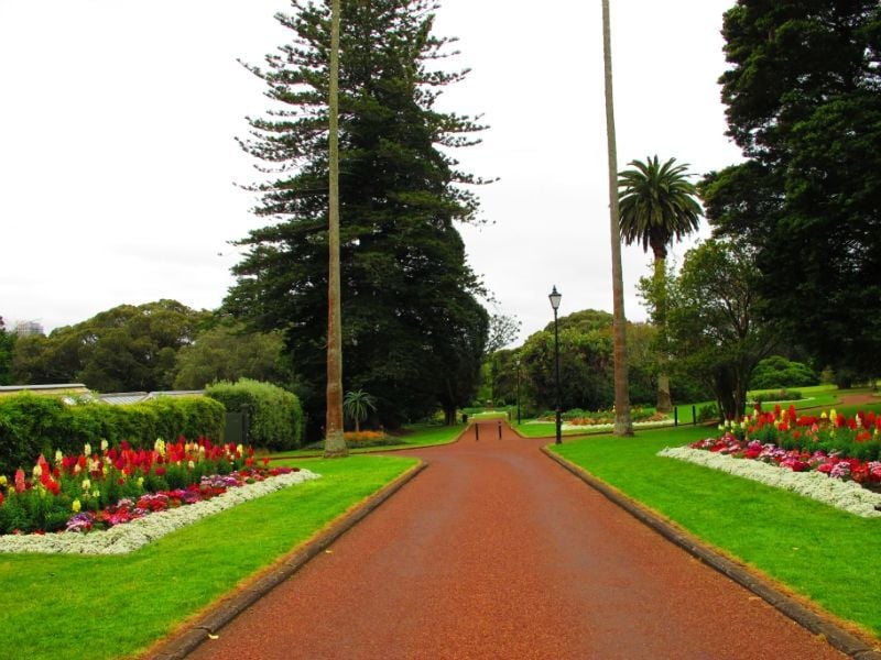 Auckland Domain
