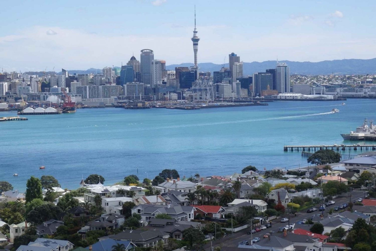 Auckland: Full-Day City Highlights Tour