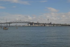 Auckland: Excursão de 1 dia aos destaques da cidade
