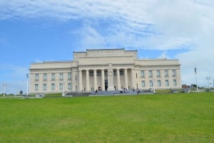 Auckland: Excursão de 1 dia aos destaques da cidade