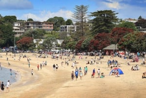 Auckland : visite d'une jounée de la ville