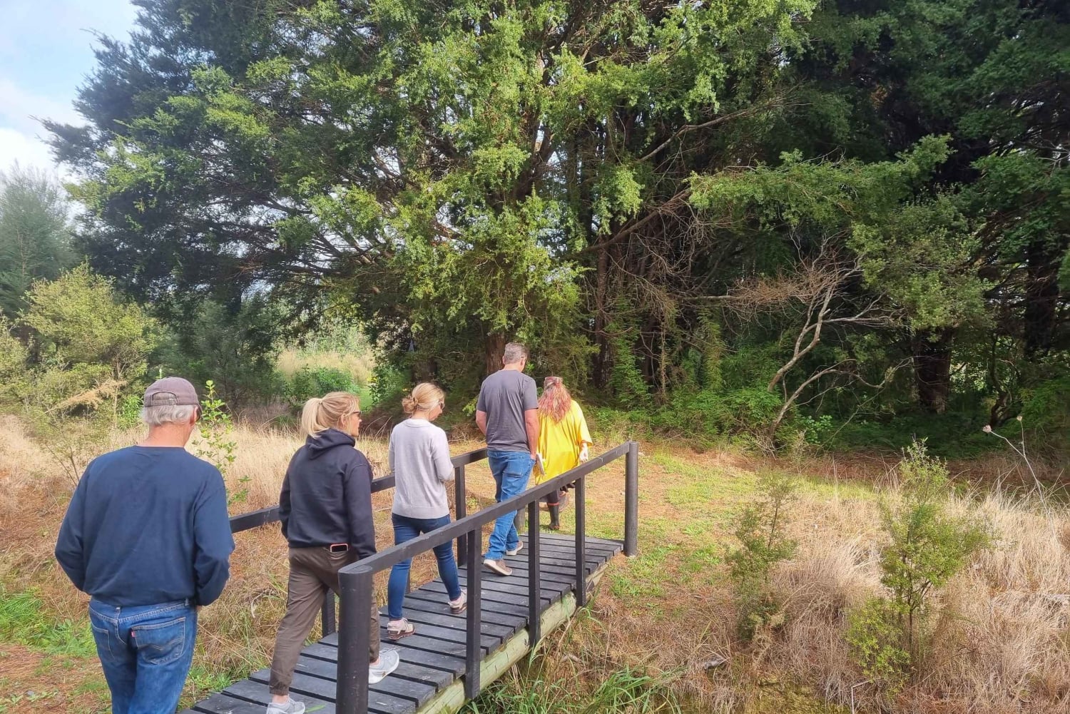 Auckland: Ganztagestour mit Jade-Schnitzerei, Honigverkostung und Weintour