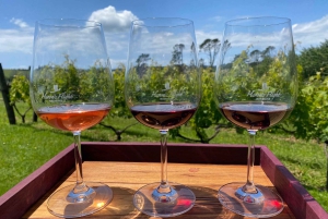 Auckland: Ganztagestour mit Jade-Schnitzerei, Honigverkostung und Weintour