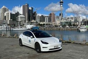 Auckland: GoGuided Auckland City Tour