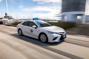 Auckland: GoGuided Auckland byrundvisning