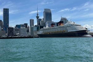 Auckland: GoGuided Auckland byrundvisning