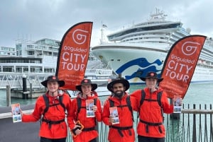 Auckland: GoGuided Auckland byrundvisning