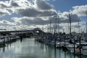 Auckland: GoGuided Auckland byrundvisning