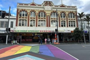 Auckland: GoGuided Auckland byrundvisning