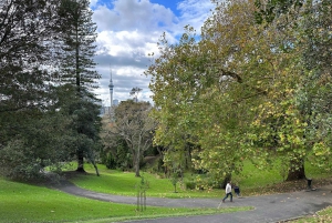 Auckland: GoGuided Auckland byrundvisning