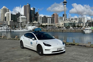 Auckland: GoGuided Auckland byrundvisning