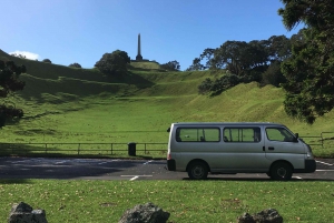 Auckland: Half-Day Auckland Volcanoes Tour