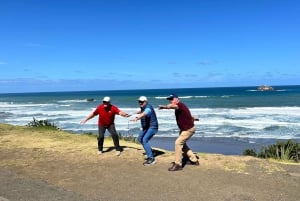 Auckland Half Day City Tour - Heart of Auckland