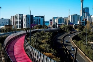 Auckland Half Day City Tour - Heart of Auckland