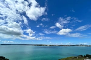 Auckland Half Day City Tour - Heart of Auckland