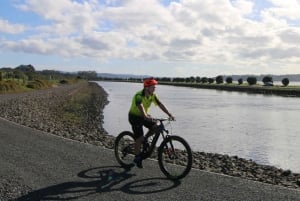 Auckland Half-Day Ebike Tour Excursion