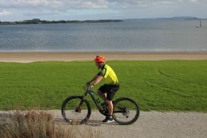 Auckland Half-Day Ebike Tour Excursion