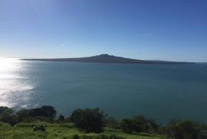 Auckland: Half-Day Private City Highlights Tour