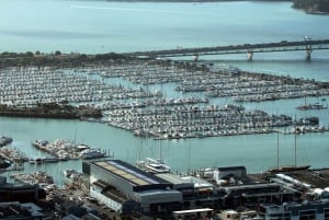 Auckland: Half-Day Private City Highlights Tour